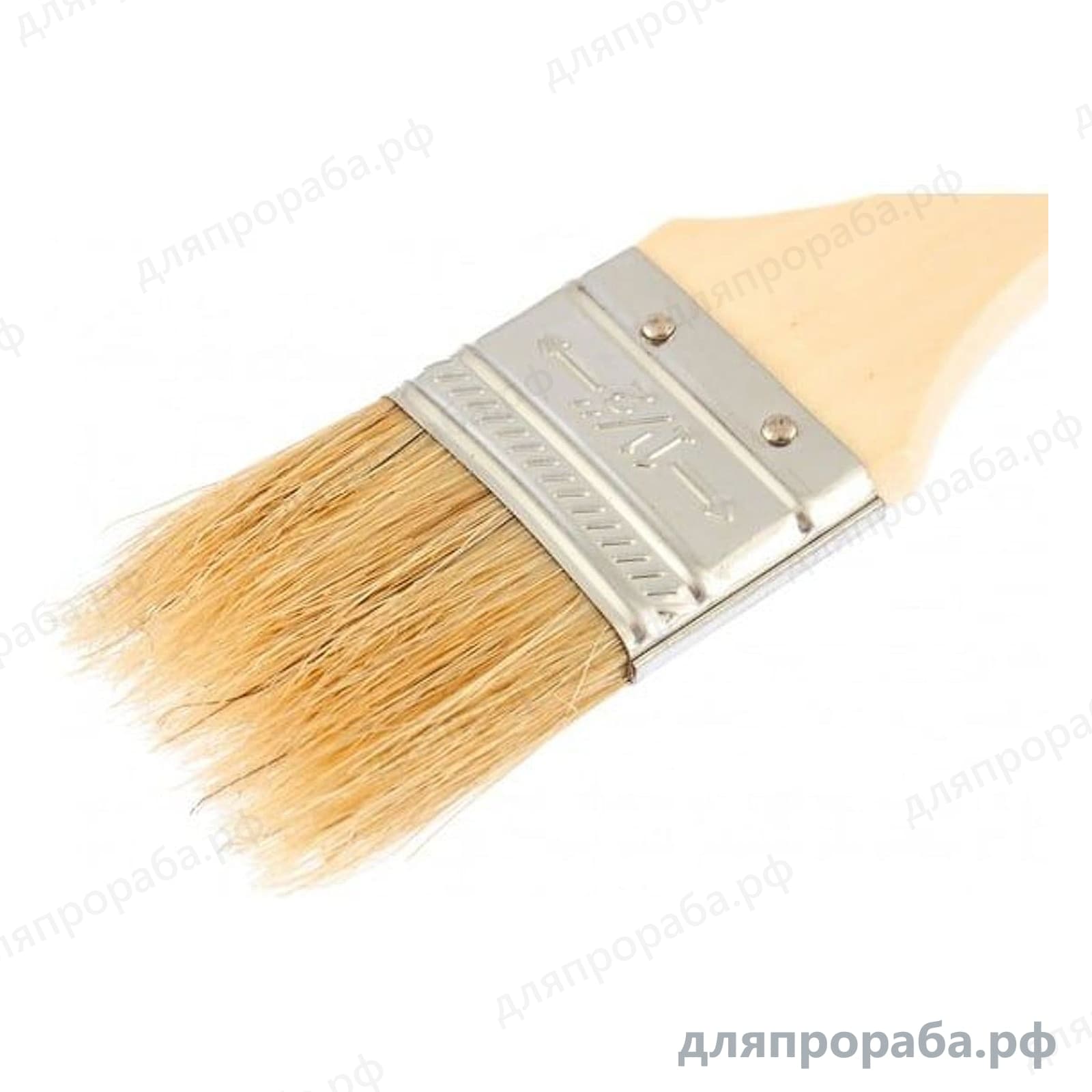 Плоская кисть Slimline 1.5 SPARTA натуральная щетина деревянная ручка 824255 — фото 2