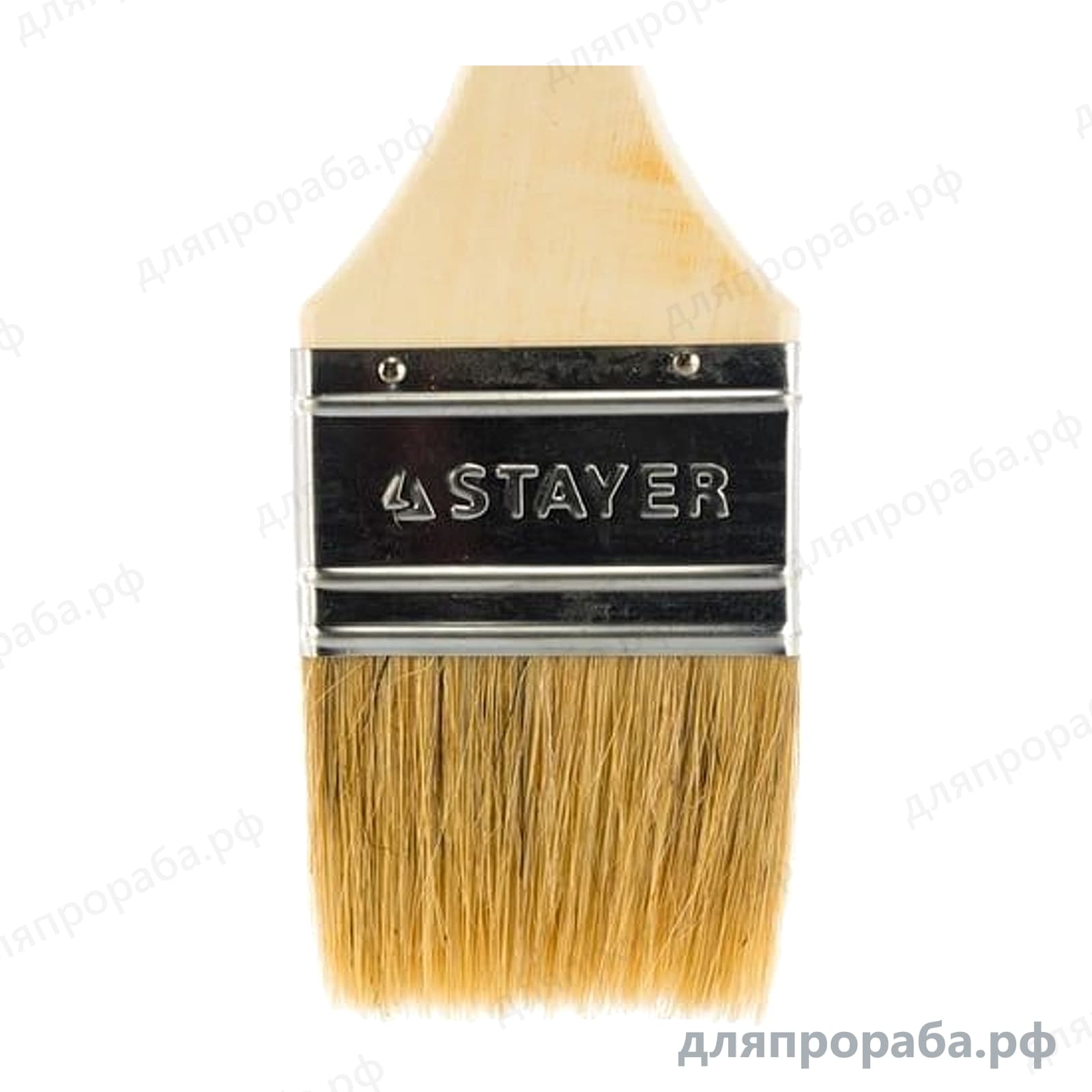 Плоская кисть STAYER UNIVERSAL натуральная щетина деревянная ручка 63 мм 0101-063